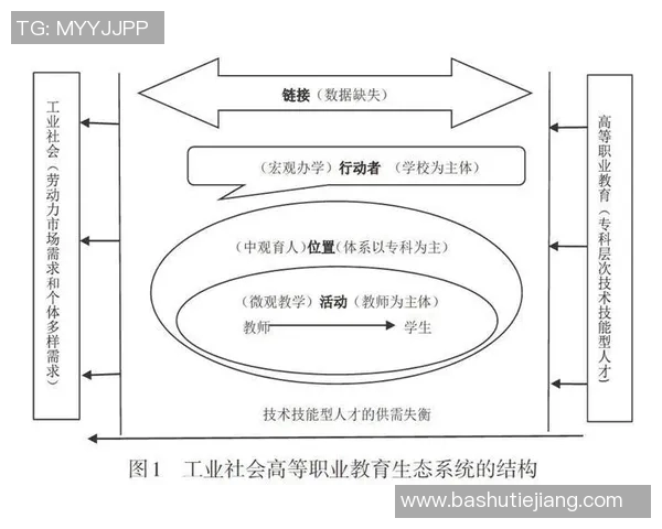 力争2目标实现路径探讨与实践经验分享